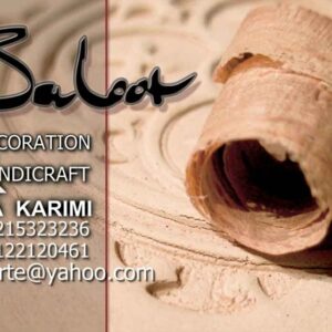 کارت ویزیت pvc - داتکو - 2081