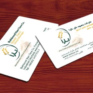 کارت ویزیت pvc - داتکو - 3845