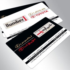 کارت ویزیت pvc - داتکو - 3890