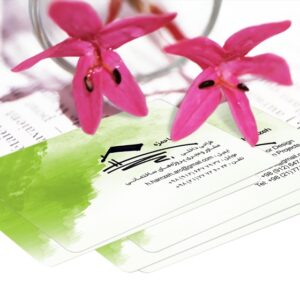 کارت ویزیت pvc - داتکو - 3894