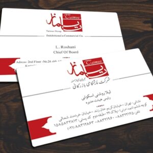 کارت ویزیت pvc - داتکو - 3907