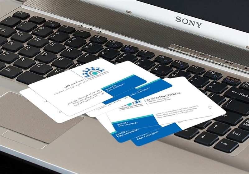 کارت ویزیت pvc - داتکو - 3944