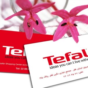 کارت ویزیت pvc - داتکو - 4012