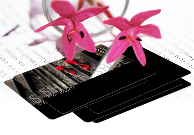 کارت ویزیت pvc - داتکو - 4056