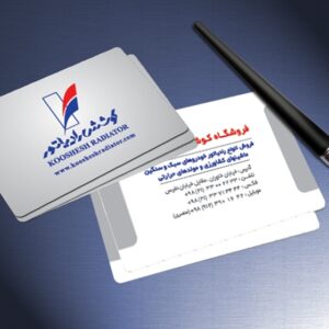 کارت ویزیت pvc - داتکو - 4088