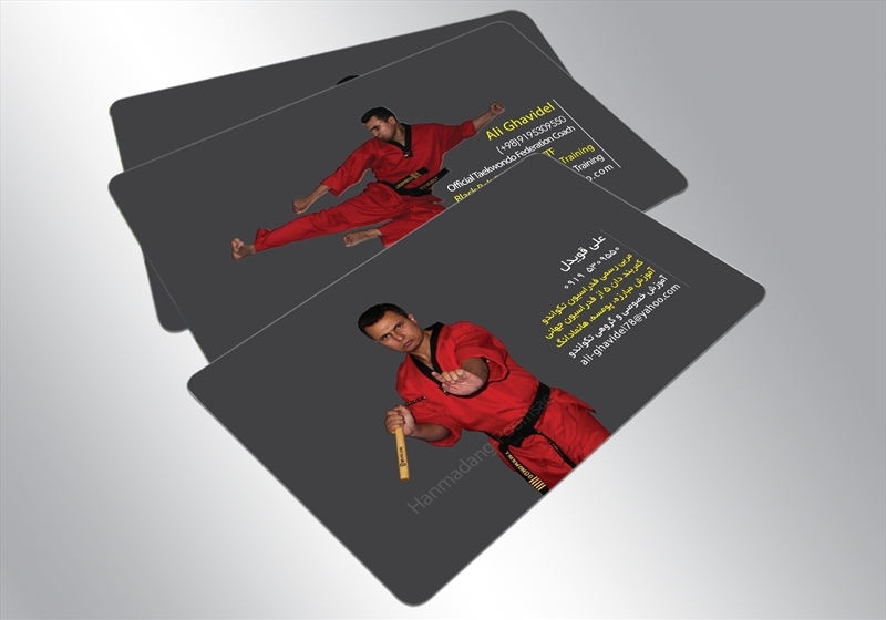 کارت ویزیت pvc - داتکو - 4175