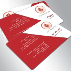 کارت ویزیت pvc - داتکو - 4230