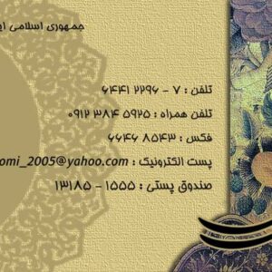 کارت ویزیت pvc - داتکو - 2138