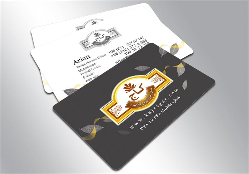 کارت ویزیت pvc - داتکو - 4408