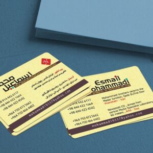 کارت ویزیت pvc - داتکو - 4426