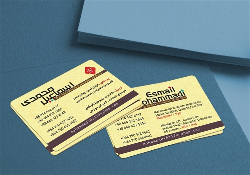 کارت ویزیت pvc - داتکو - 4426