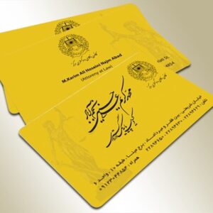 کارت ویزیت pvc - داتکو - 4456