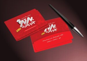 کارت ویزیت pvc - داتکو - 4474