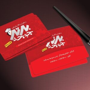 کارت ویزیت pvc - داتکو - 4474