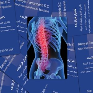 کارت ویزیت pvc - داتکو - 4490