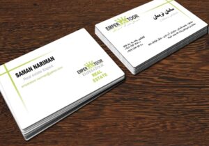 کارت ویزیت pvc - داتکو - 4502