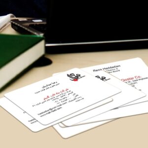 کارت ویزیت pvc - داتکو - 4519