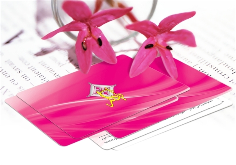 کارت ویزیت pvc - داتکو - 4543