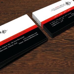 کارت ویزیت pvc - داتکو - 4549