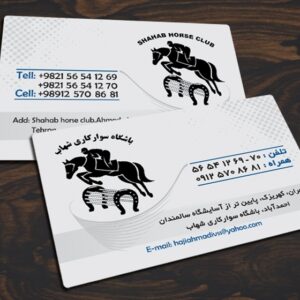 کارت ویزیت pvc - داتکو - 4664