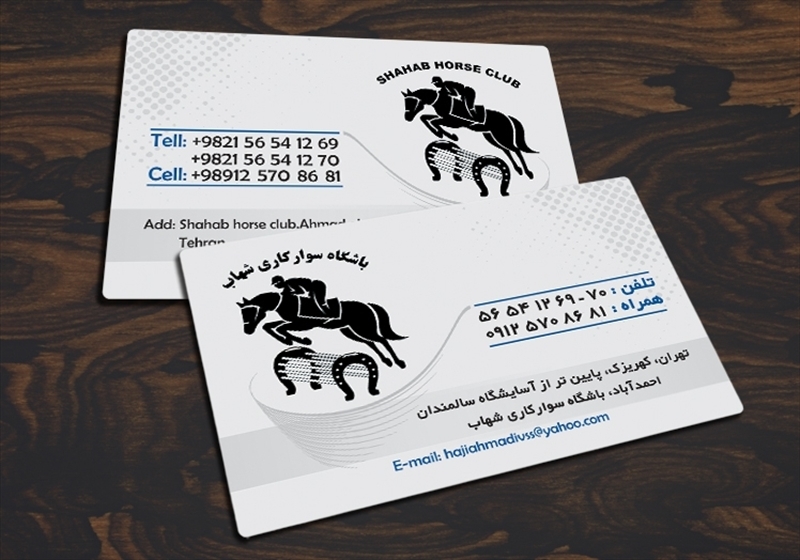 کارت ویزیت pvc - داتکو - 4664