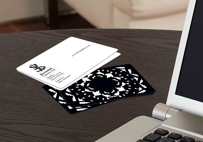 کارت ویزیت pvc - داتکو - 4668