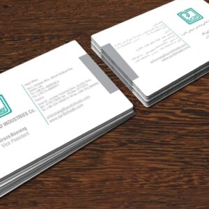 کارت ویزیت pvc - داتکو - 4758