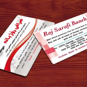 کارت ویزیت pvc - داتکو - 4762