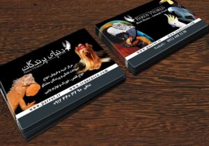 کارت ویزیت pvc - داتکو - 4780