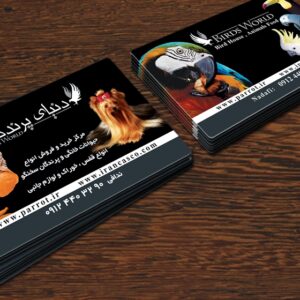 کارت ویزیت pvc - داتکو - 4780