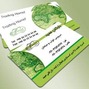 کارت ویزیت pvc - داتکو - 4816