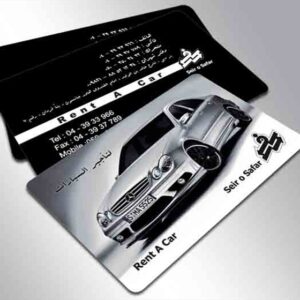 کارت ویزیت pvc - داتکو - 4871