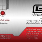 کارت ویزیت pvc - داتکو - 2193