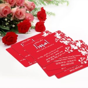 کارت ویزیت pvc - داتکو - 4953