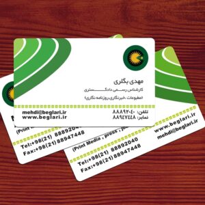 کارت ویزیت pvc - داتکو - 4965