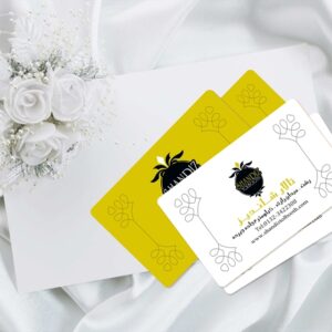 کارت ویزیت pvc - داتکو - 4971