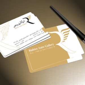 کارت ویزیت pvc - داتکو - 5004