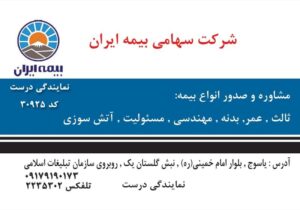 کارت ویزیت pvc - داتکو - 2203