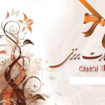 کارت ویزیت pvc - داتکو - 2209