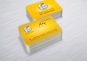 کارت ویزیت pvc - داتکو - 5113