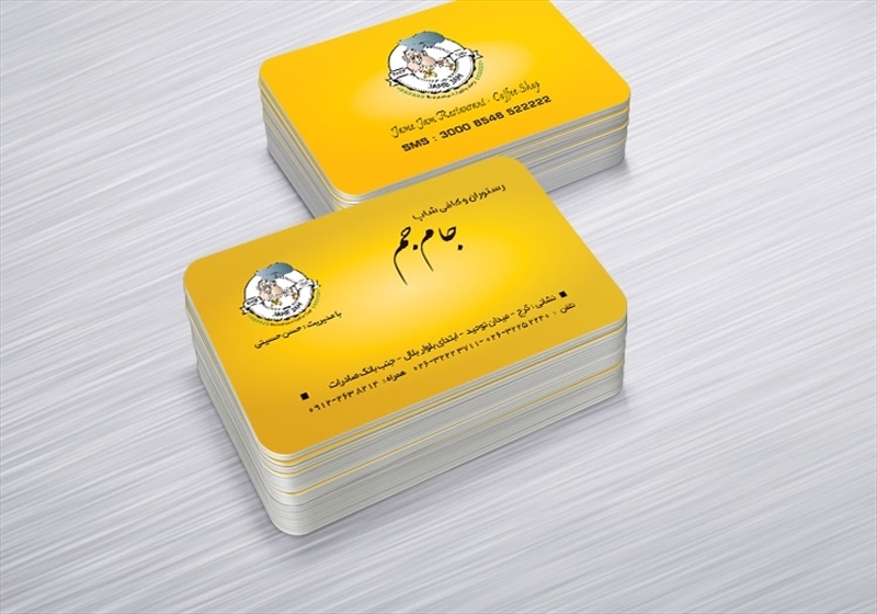 کارت ویزیت pvc - داتکو - 5113