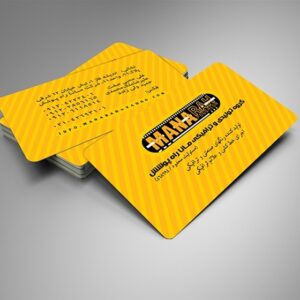 کارت ویزیت pvc - داتکو - 5193