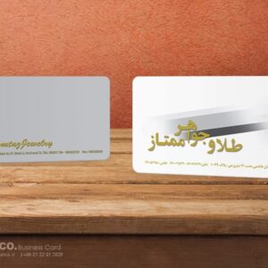 کارت ویزیت pvc - داتکو - 5371