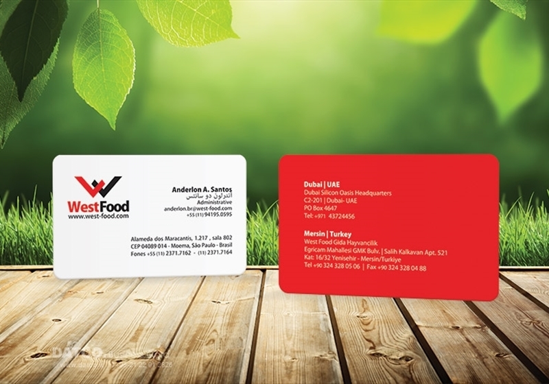 کارت ویزیت pvc - داتکو - 5393