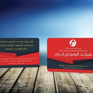 کارت ویزیت pvc - داتکو - 5401