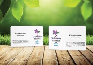 کارت ویزیت pvc - داتکو - 5421