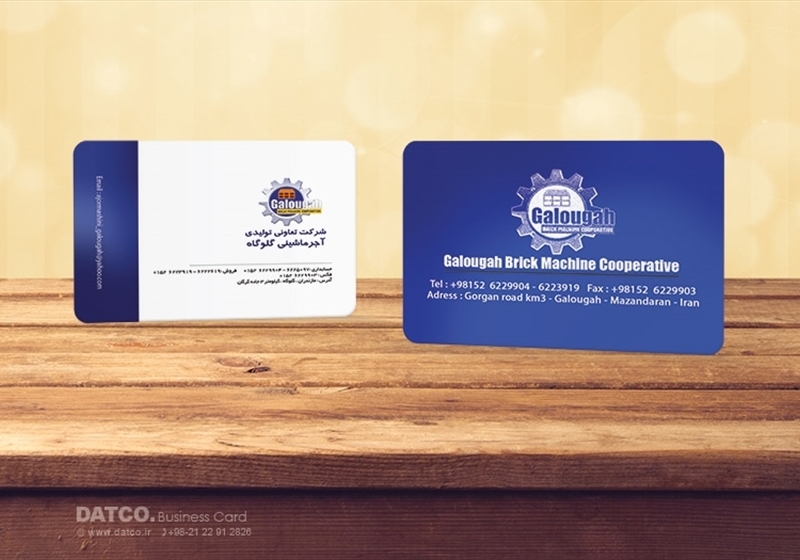 کارت ویزیت pvc - داتکو - 5433