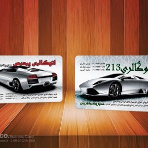 کارت ویزیت pvc - داتکو - 5441