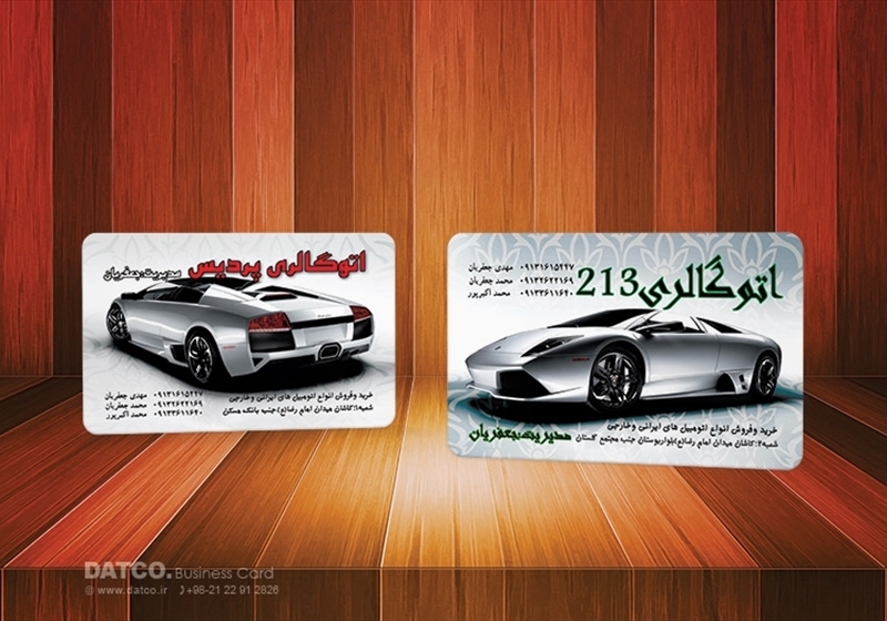 کارت ویزیت pvc - داتکو - 5441