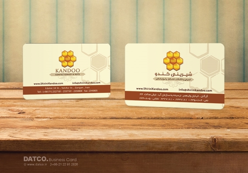 کارت ویزیت pvc - داتکو - 5455